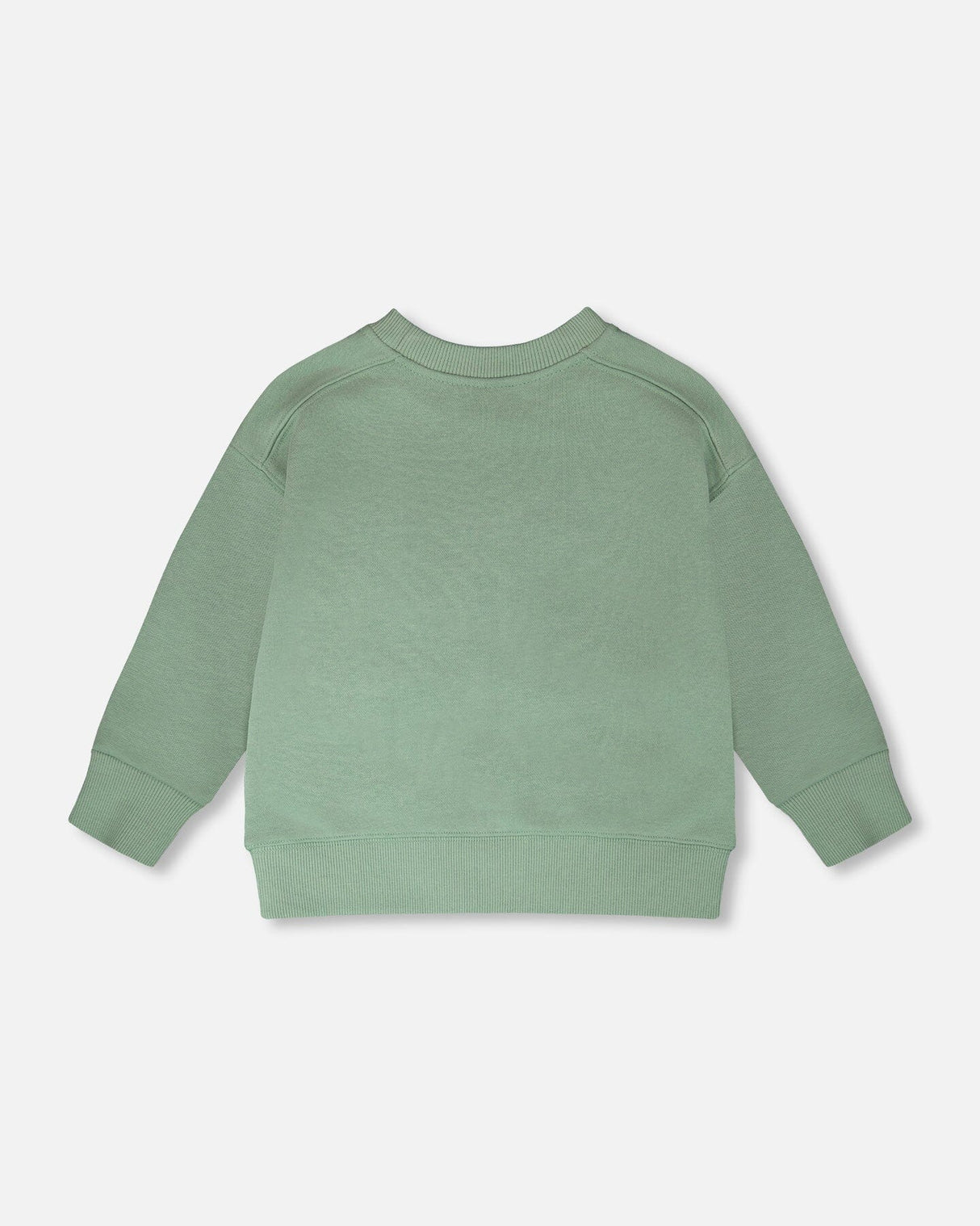 French Terry Sweatshirt Pale Green-3