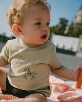 Cotton Rib Jersey T-Shirt And Organic Cotton Jersey Short Set Sage Green And Black-1