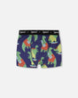Organic Cotton Boxer Blue Dino Print-0