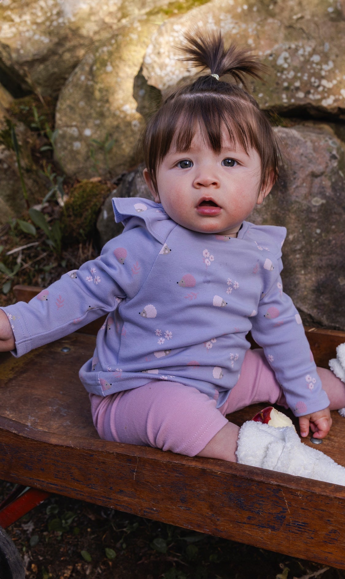 Organic Cotton Tunic And Legging Set Purple Hedgehog Print-1