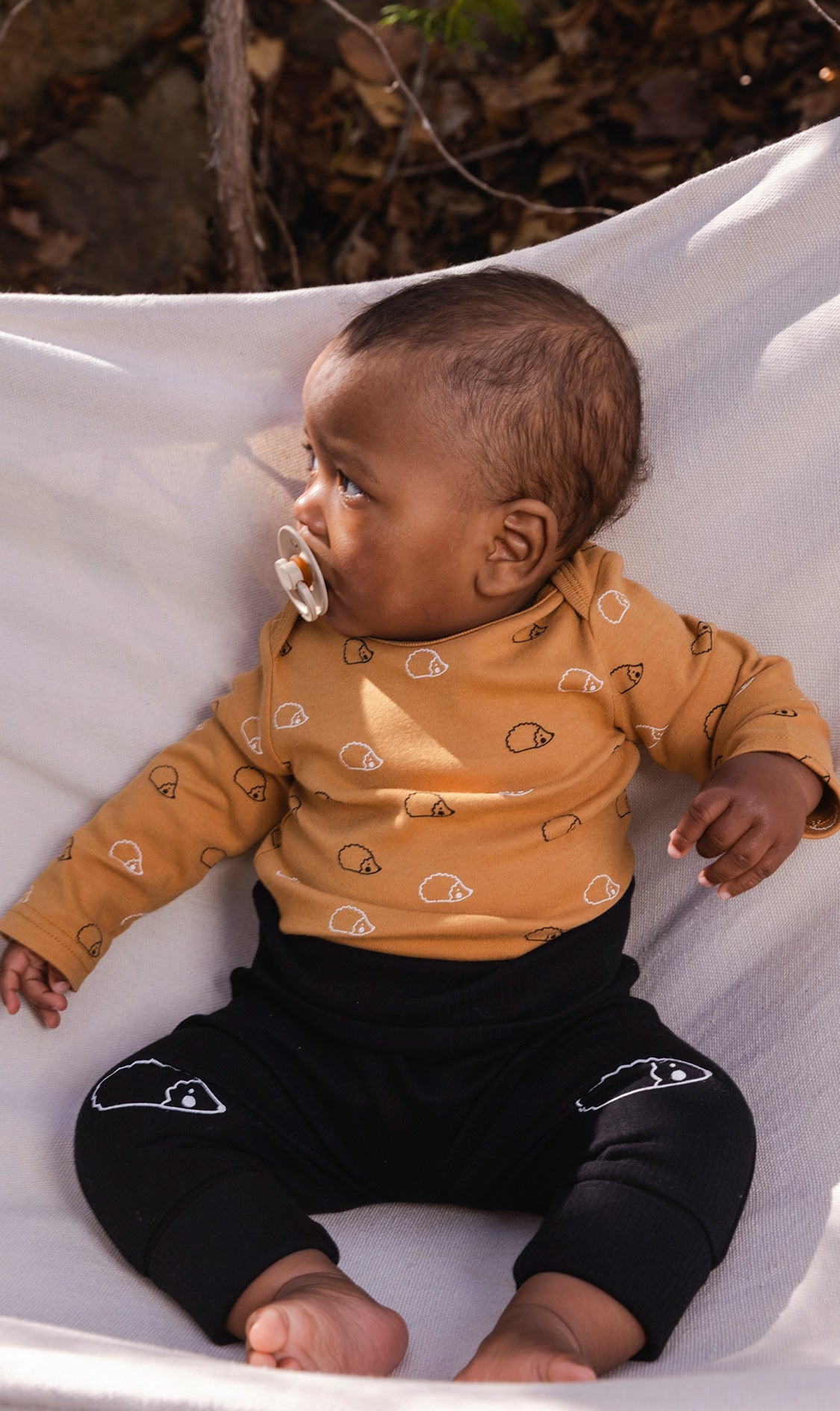Organic Cotton Onesie Brown Printed Hedgehogs-1