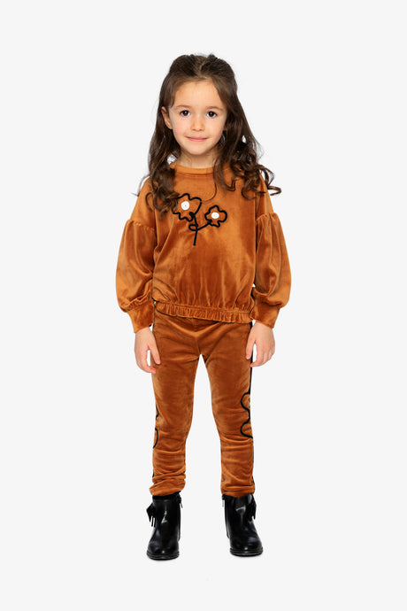 Velvet Top Brown-4