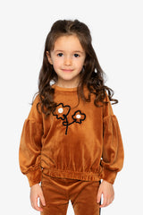 Velvet Top Brown-1