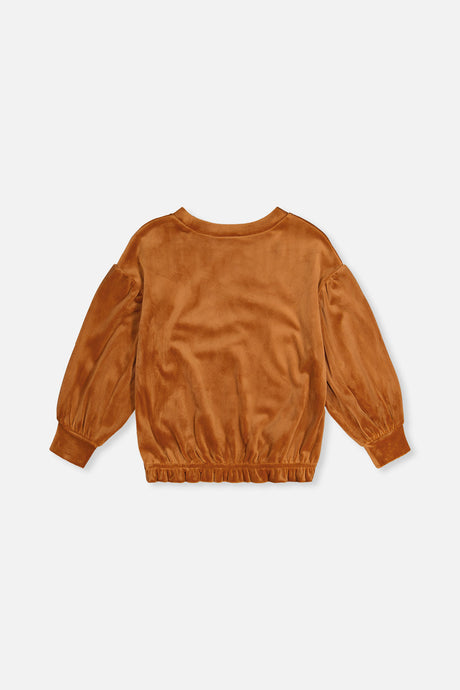 Back view of the Deux par Deux brown velvet top