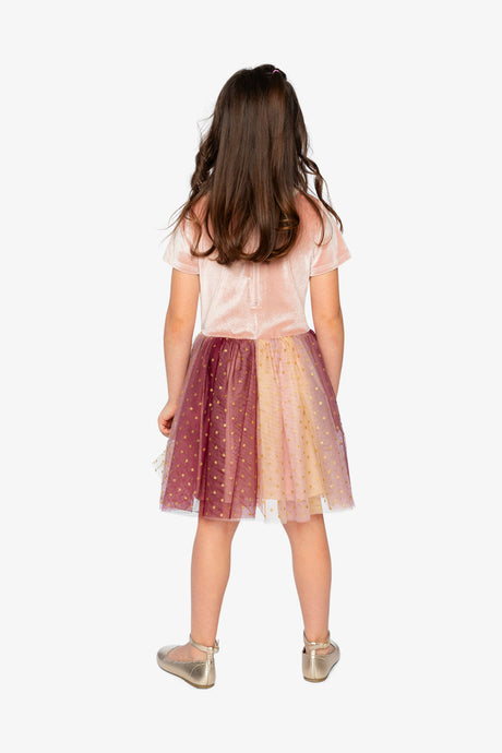 Child wearing the Deux par Deux pink velvet dress with a gradient mesh skirt, back view