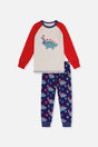 Organic Cotton Two Piece Pajama Set Blue Dinosaur Print-0
