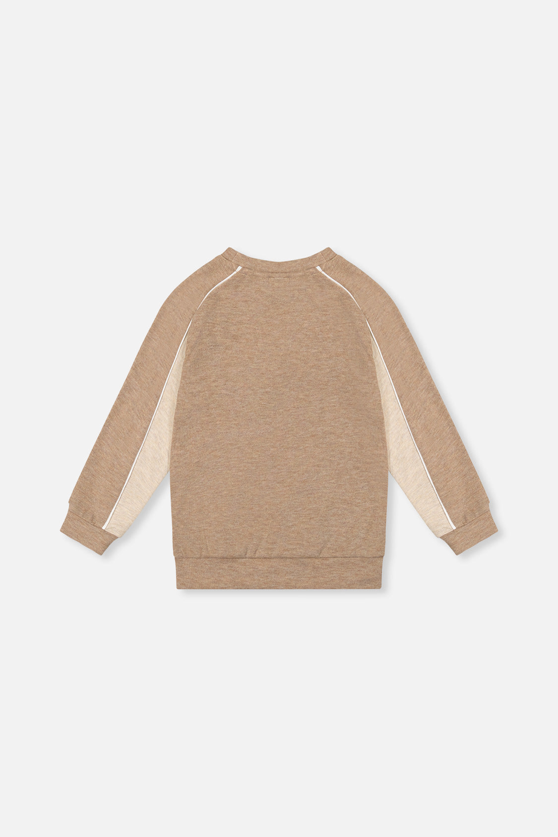 Deux par Deux boys' taupe brushed jersey raglan top, back view