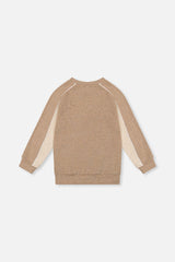 Deux par Deux boys' taupe brushed jersey raglan top, back view