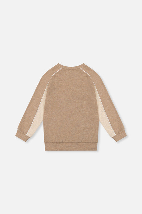Deux par Deux boys' taupe brushed jersey raglan top, back view