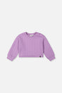Jacquard Sweatshirt Purple-0