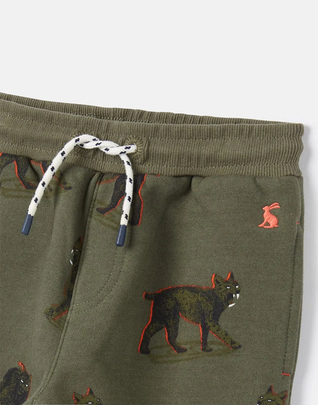 Boys' Champion Novelty Joggers | Joules - Joules