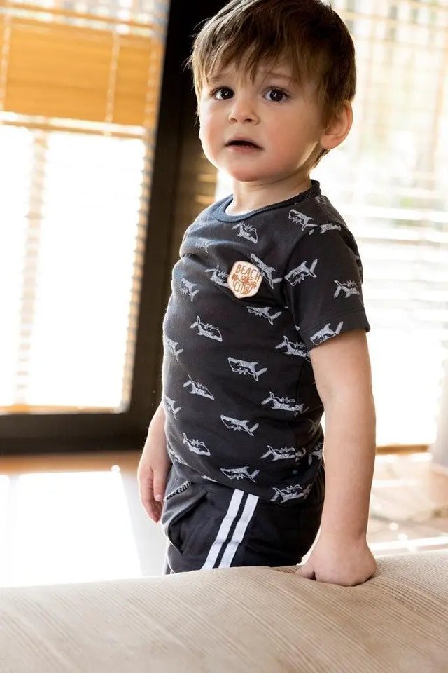 Boys T-shirt Dark Blue Sharks | Dirkje - Jenni Kidz