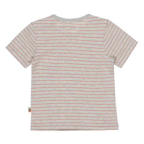 Boys T-shirt Grey Orange Lion | Dirkje - Jenni Kidz