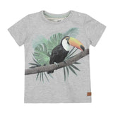 Boys T-shirt Light Grey Toucan | Koko-Noko - Jenni Kidz