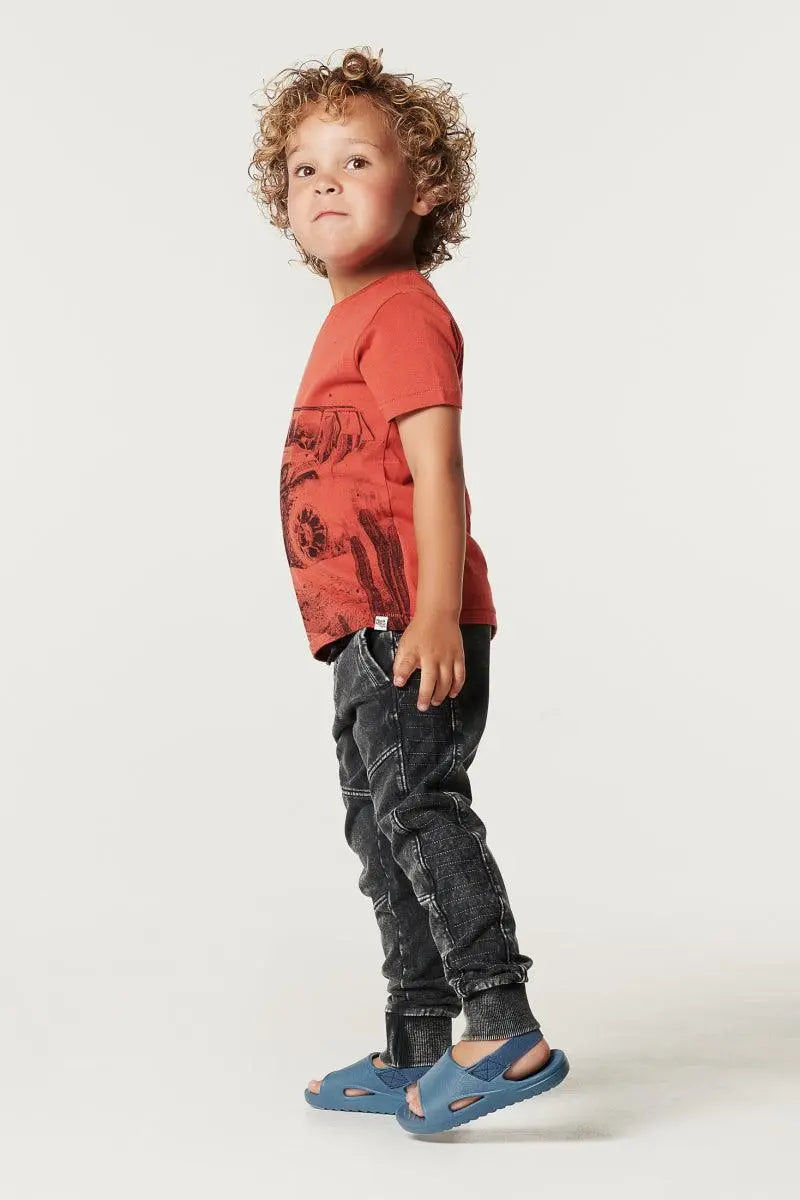 Boys Tee Shortsleeve Garoua | Noppies - Jenni Kidz