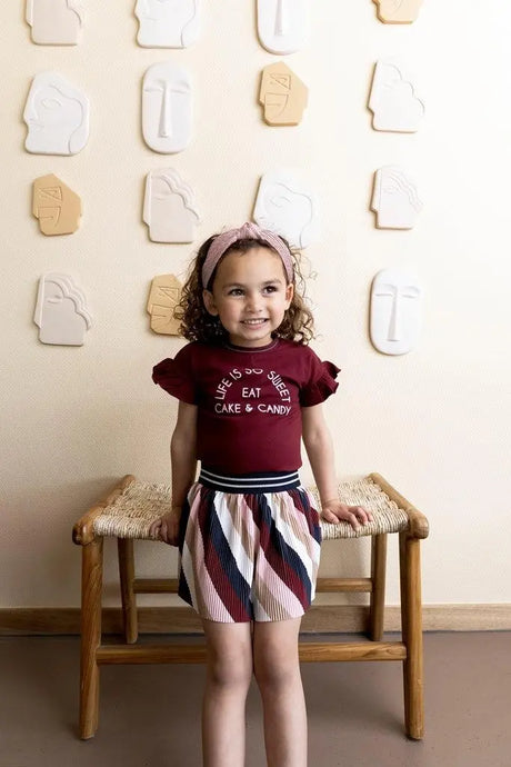 Girls Skirt Pleated Multicolor | Dirkje - Jenni Kidz