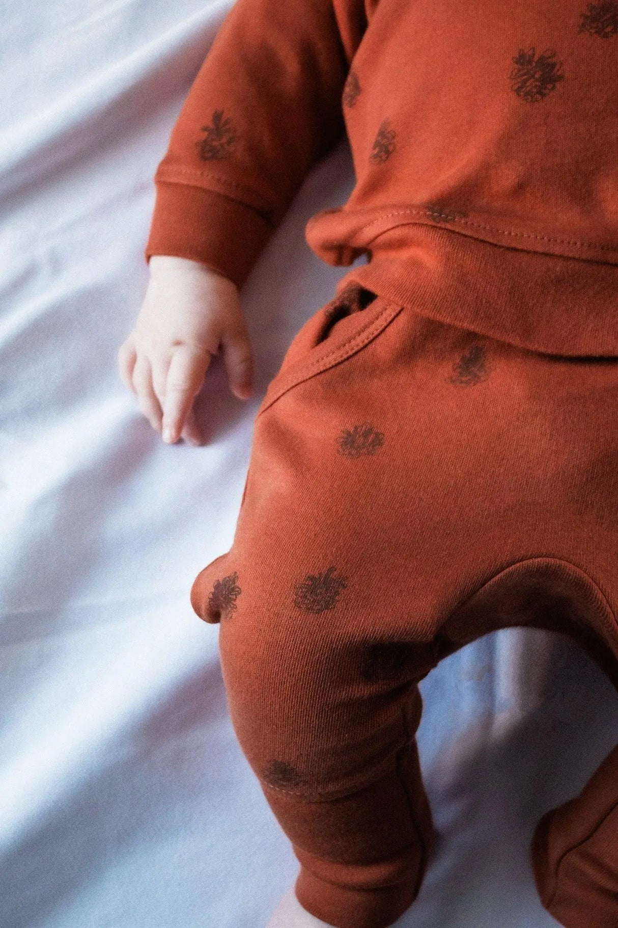 Organic Printed Sweatshirt & Jogger Set in Cinnamon Pinecone | Lovedbaby - Jenni Kidz