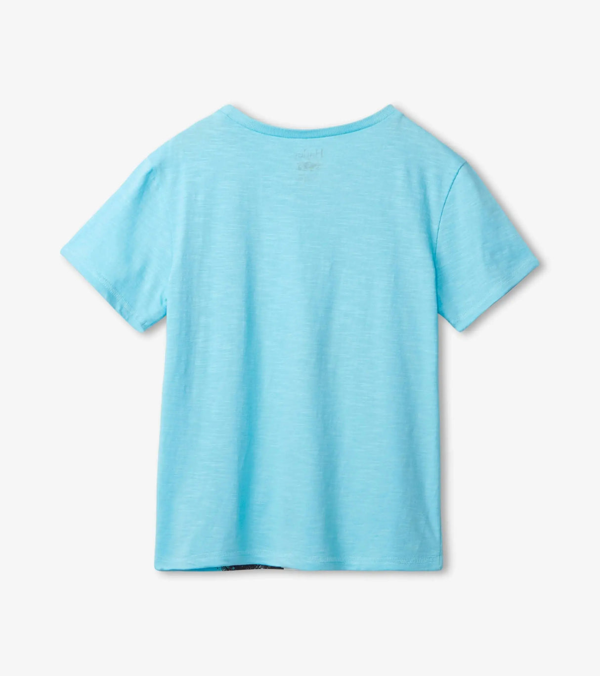 Shark Lunch Graphic Tee | Hatley - Hatley