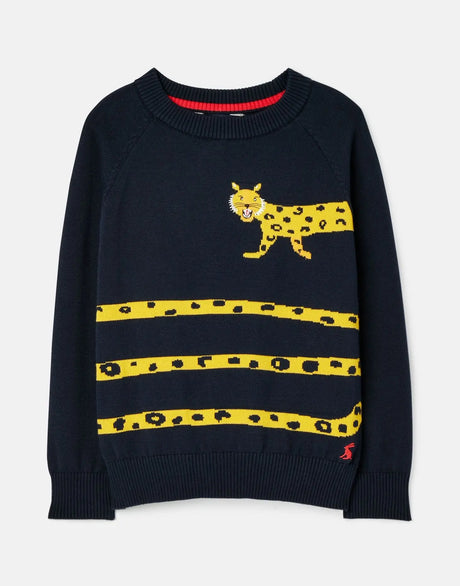 Zany Raglan Sleeve Intarsia Crew Neck Sweater | Joules - Jenni Kidz