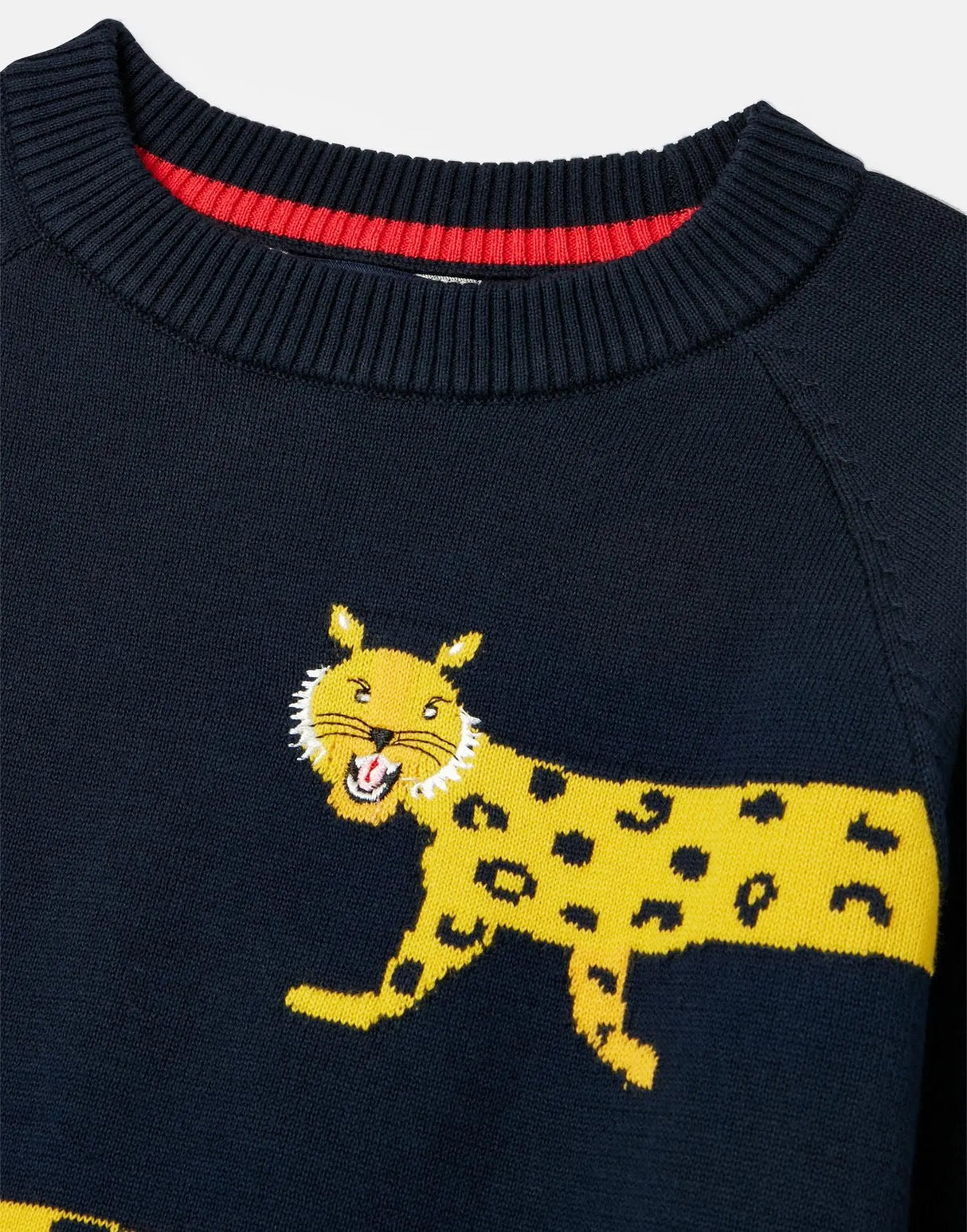 Zany Raglan Sleeve Intarsia Crew Neck Sweater | Joules - Jenni Kidz