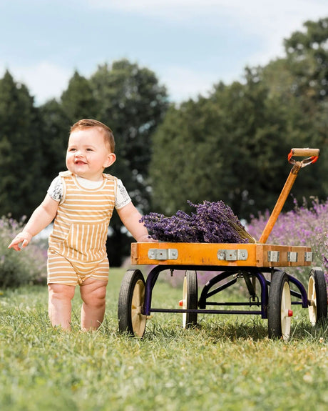 Organic Cotton Onesie And Shortall Set Sand Stripe | Deux par Deux | Jenni Kidz