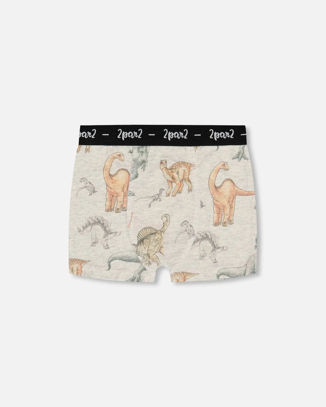 Printed Organic Cotton Boxer Shorts Dinosaur On Mottled And Tan Background | Deux par Deux | Jenni Kidz