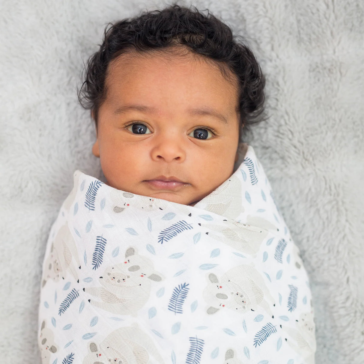 Swaddle Blanket Muslin Cotton Modern Koala | Lulujo - Lulujo